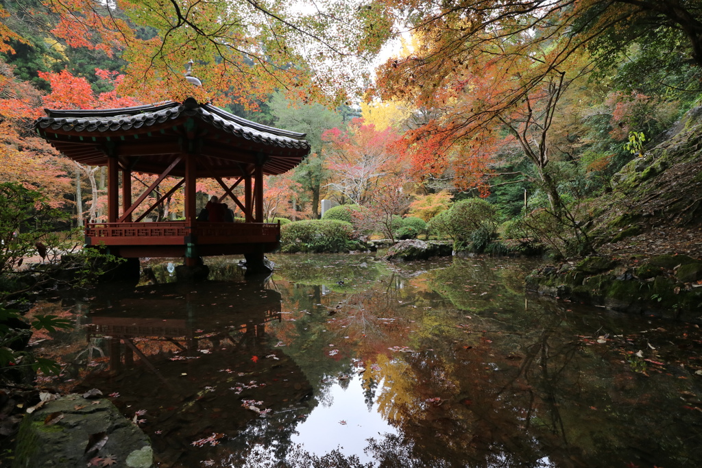 プチふたり旅14　岩国紅葉谷