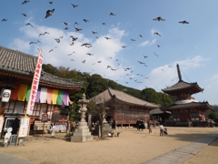 尾道　浄土寺　多宝塔