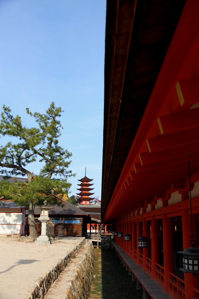 陰陽