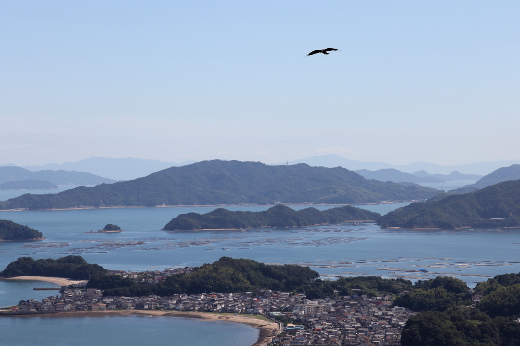 鳥になって