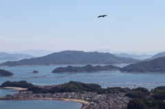 鳥になって