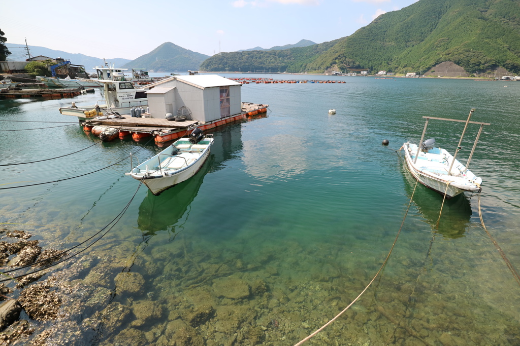 漁村