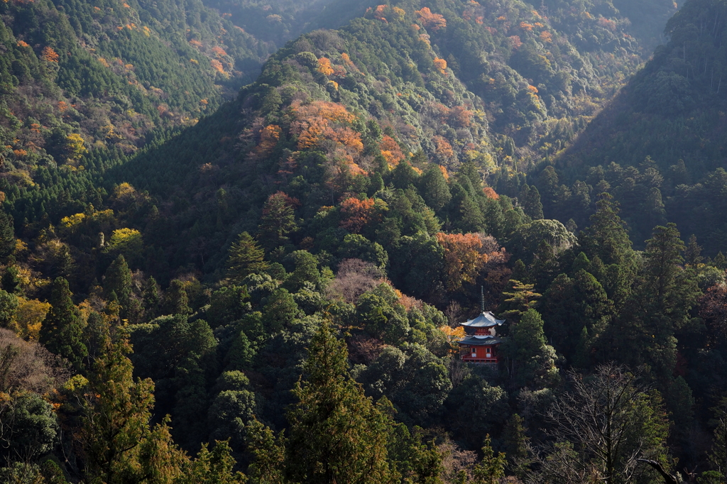 佛通寺　～多宝塔～