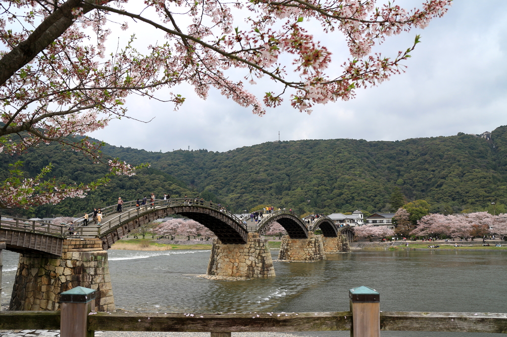 春色の五連橋