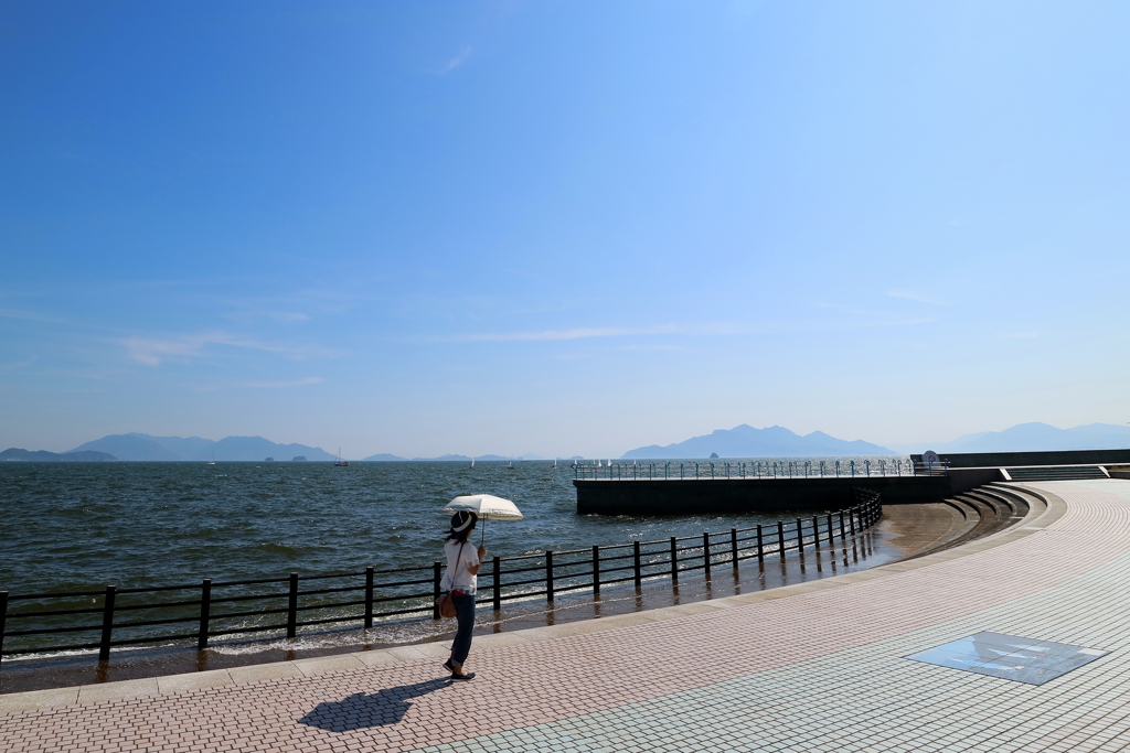 白いParasol