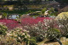 三景園の梅庭園