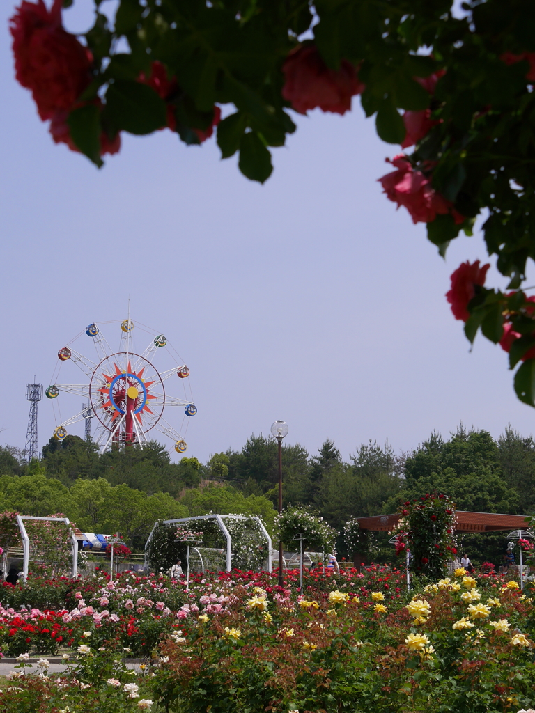 プチふたり旅10　蜂ケ峰公園