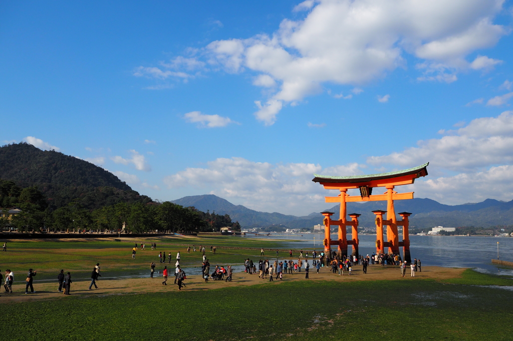 宮島　行楽日和