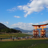 宮島　行楽日和