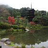 プチふたり旅15　晩秋の瑠璃光寺