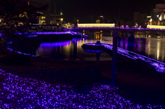 PURPLE RIVER