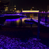 PURPLE RIVER