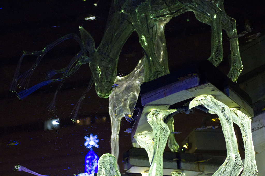 もののけ with Chiristmas Illumination