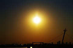 葛西臨海公園
