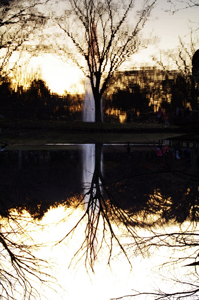 代々木公園