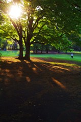 砧公園