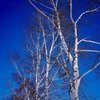 −21℃