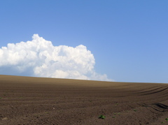 Scene6