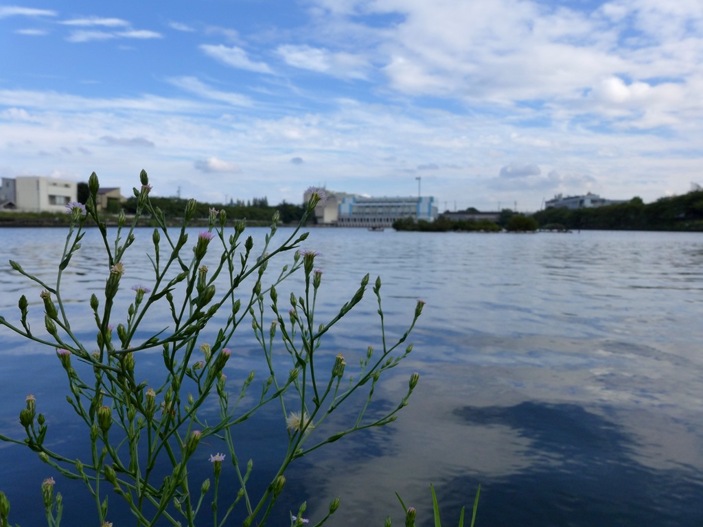 荒子川公園にて2