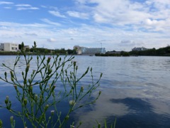 荒子川公園にて2