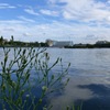 荒子川公園にて2