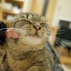 うめちゃん