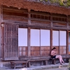 夏の情景