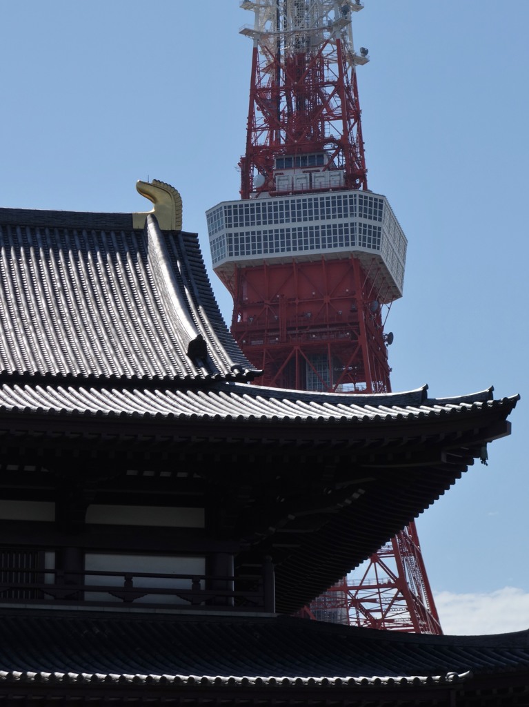 鉄と木