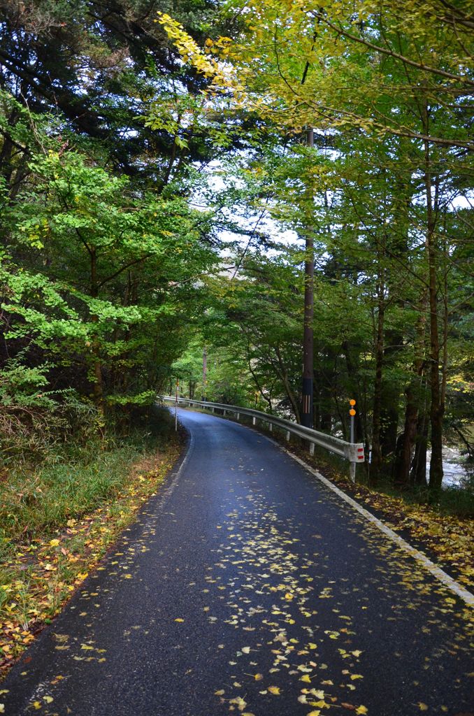 山の中の一本道