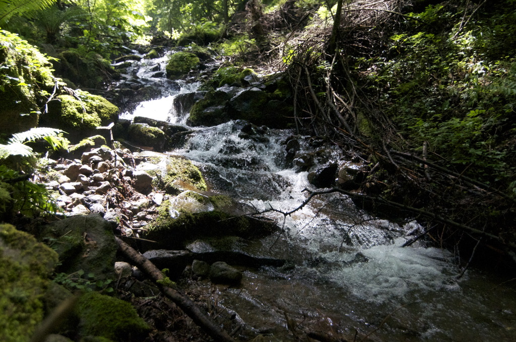 DSC_4955
