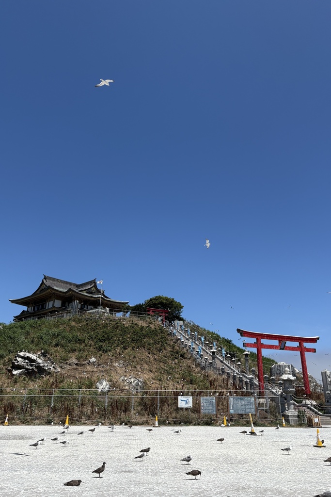 蒼空を舞う