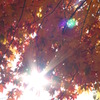061104-143609