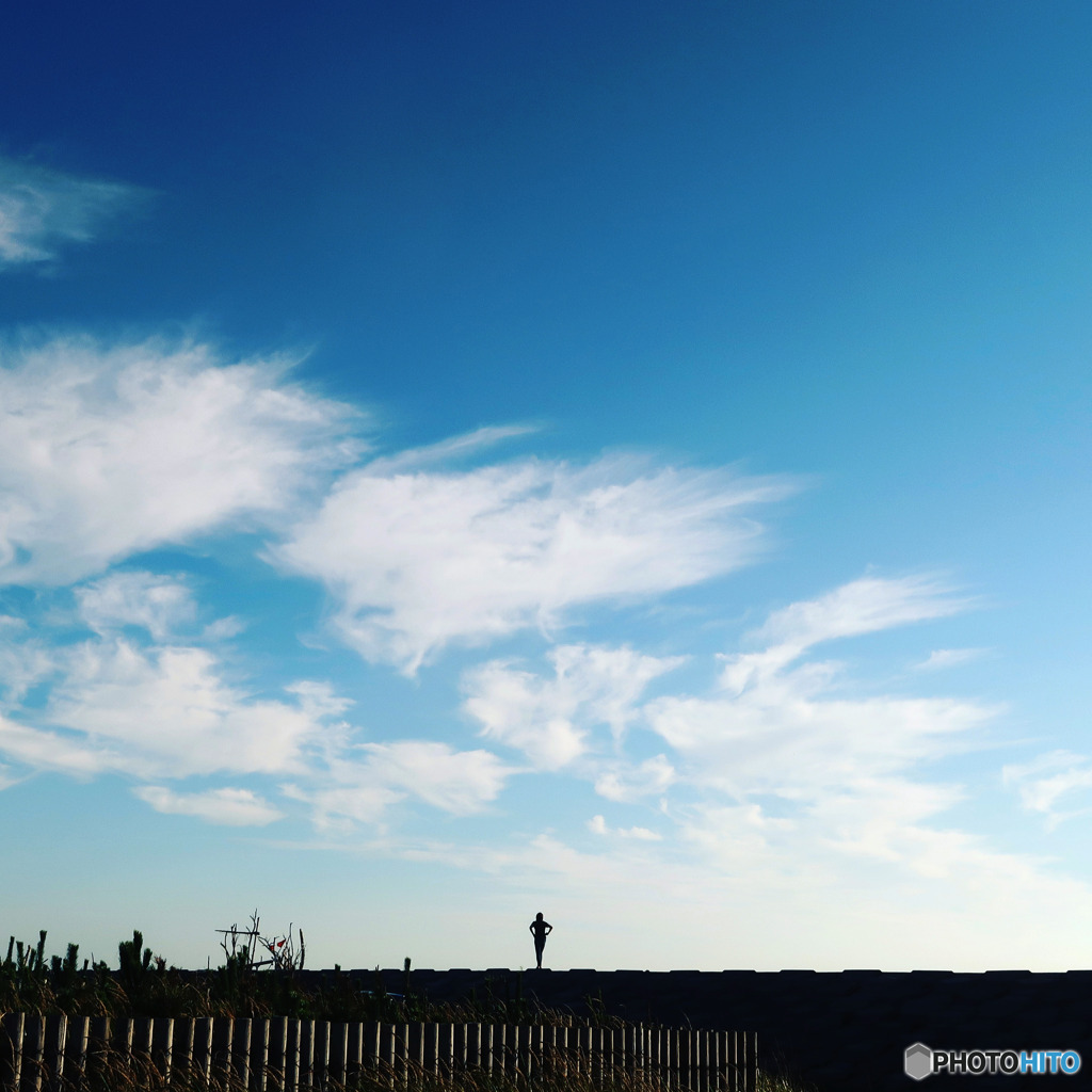 大空を望む