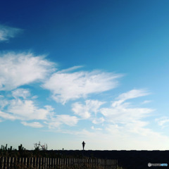 大空を望む