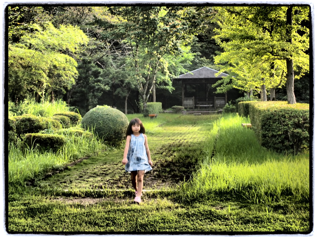 公園を歩く