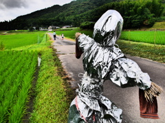 「今年の案山子」