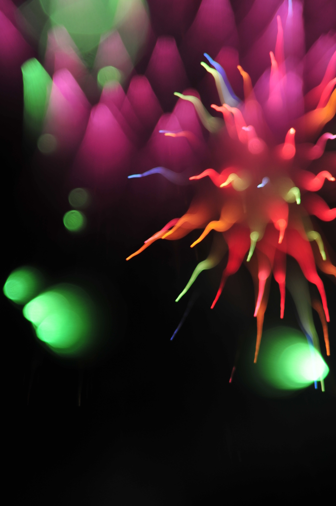 ハナビ　イソギンチャクとフジツボ