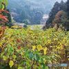 秋の気配