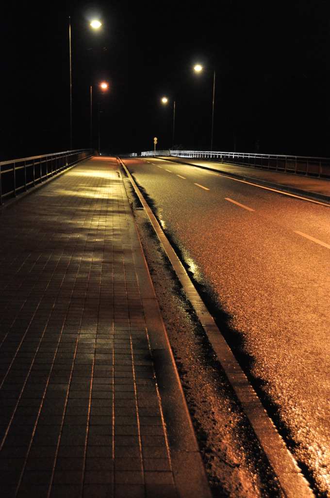 夜の道