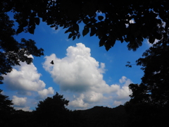 浸食される空