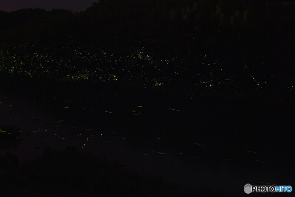 2018-05-19 D7200 ホタル ③ (1)