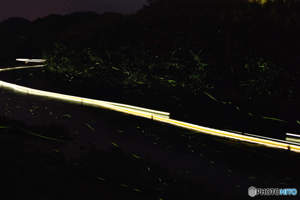 2018-05-19 D7200 ホタル ② (1)