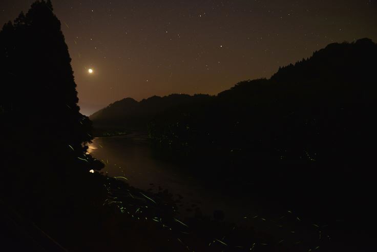 「月夜のヒカリ」