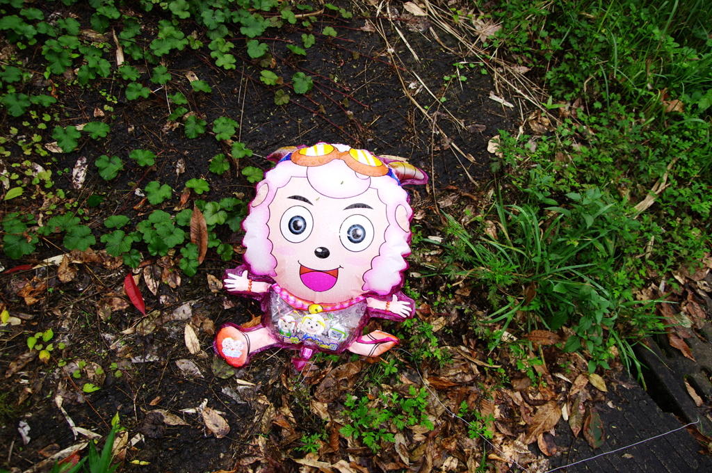 ボク、寂しい。