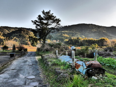 田舎道