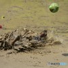 2018-06-03 D7200 白男川泥んこバレー 　＃3
