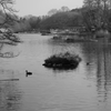 モノクロ公園
