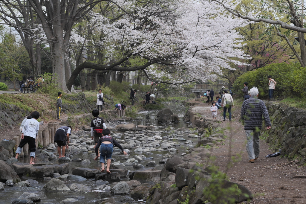 川遊び