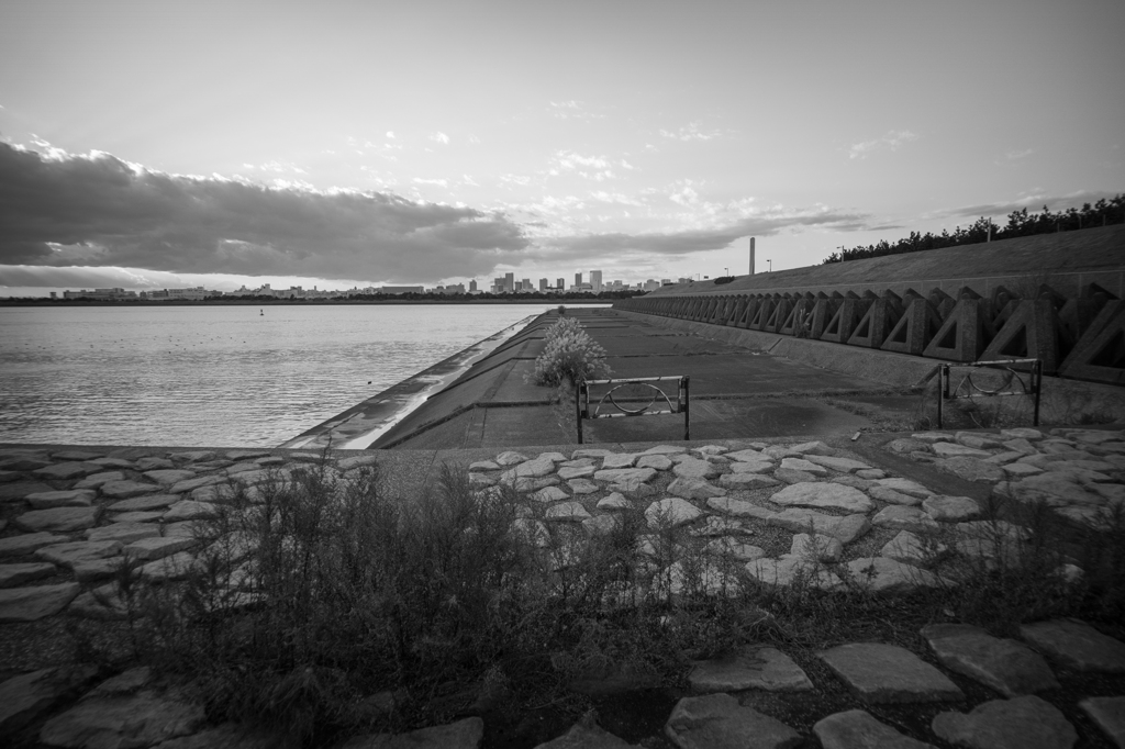 walk in silence 15