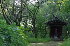 等々力渓谷　祠